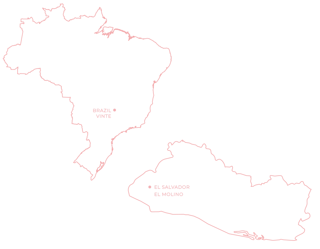 Brazil & El Salvador Beanworks New Standard origins map