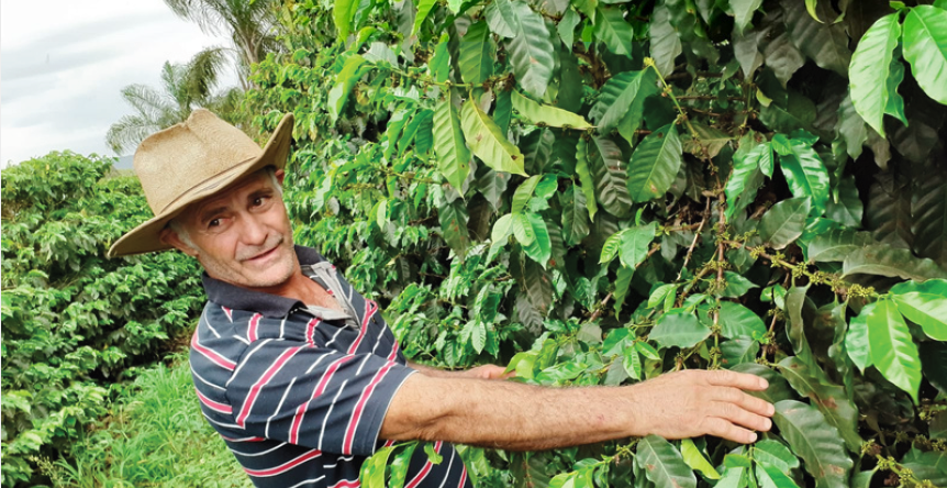 New New Standard - Beanworks Core