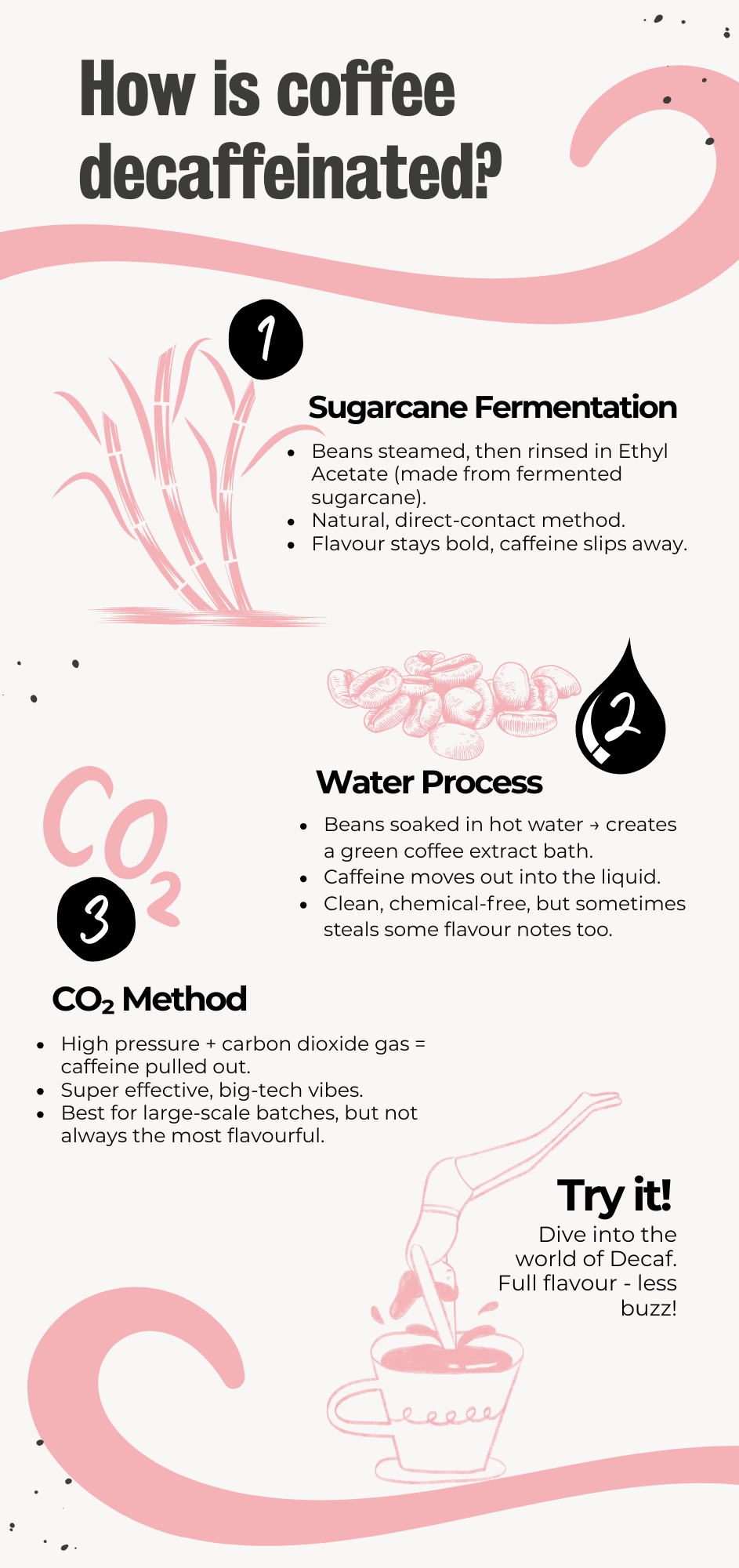 decaf coffee bean processing