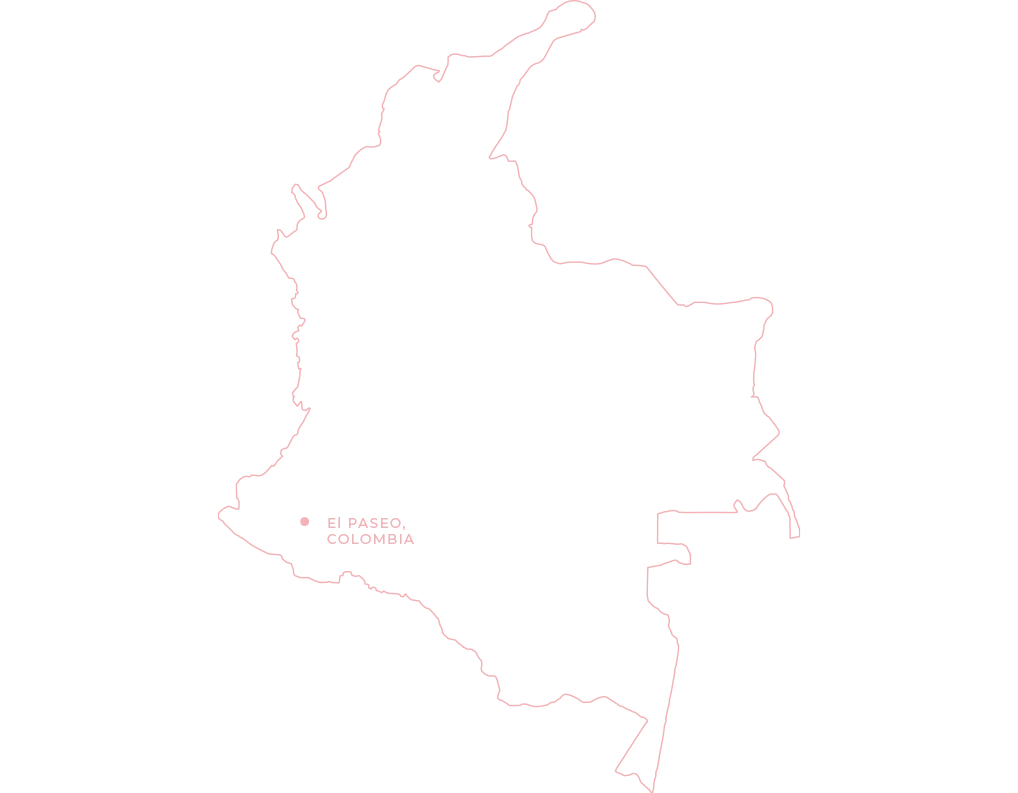 El Paseo Colombia Coffee Farm