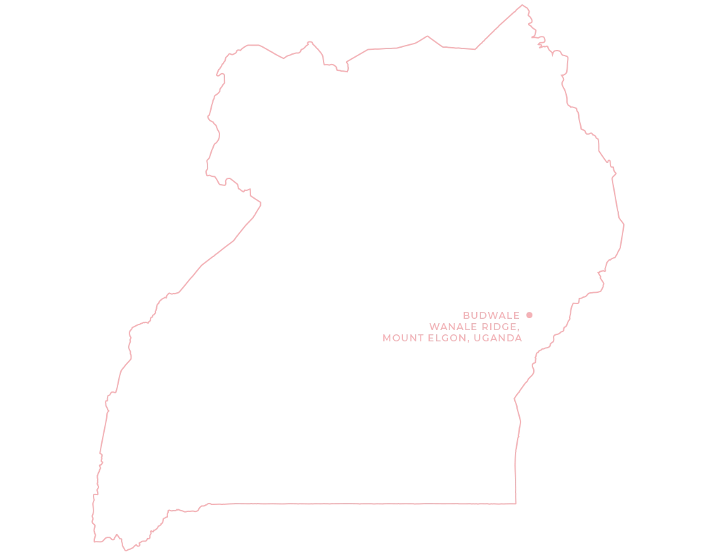 Budwale Uganda Map