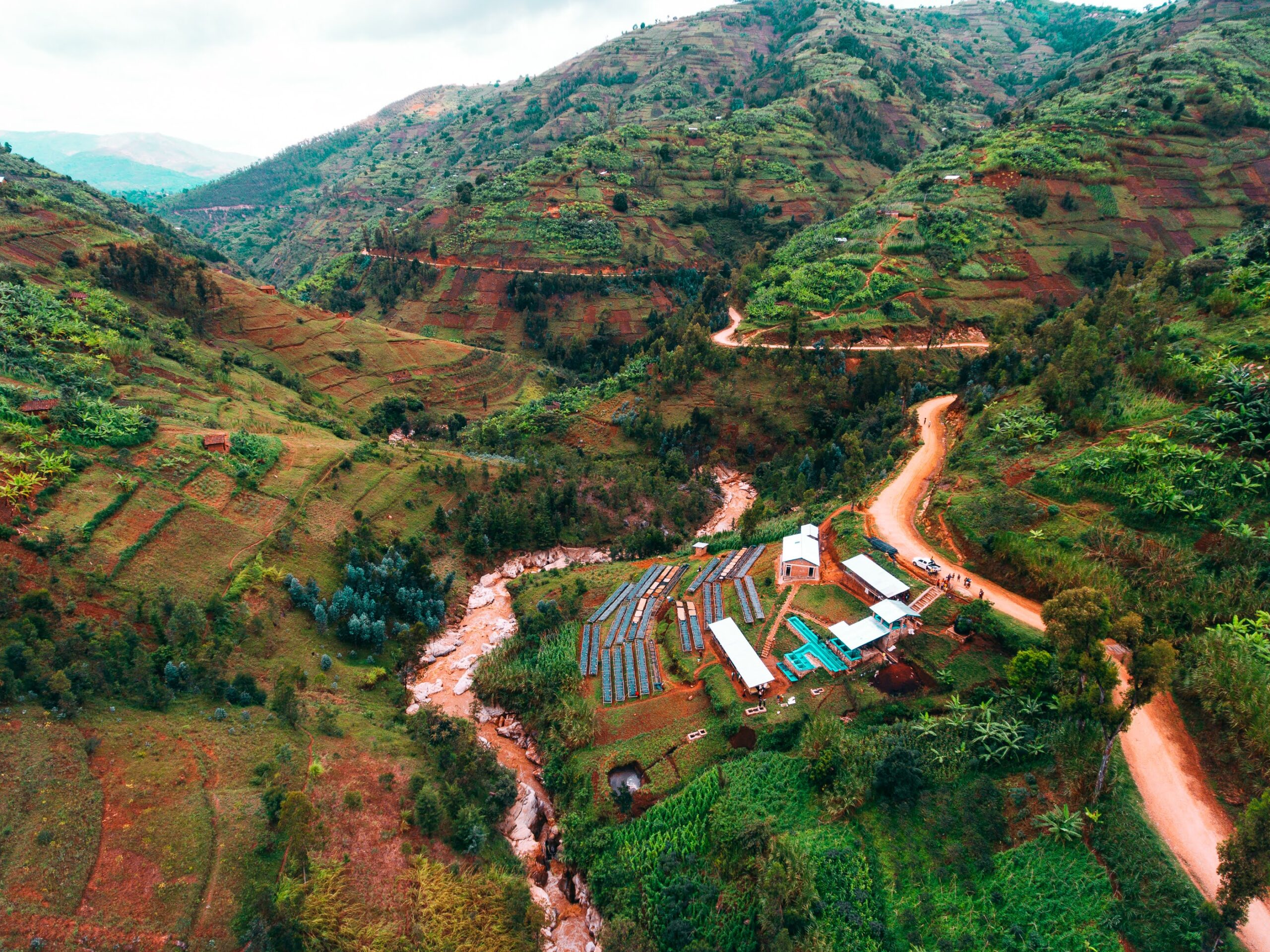 Shyira Rwanda coffee farm