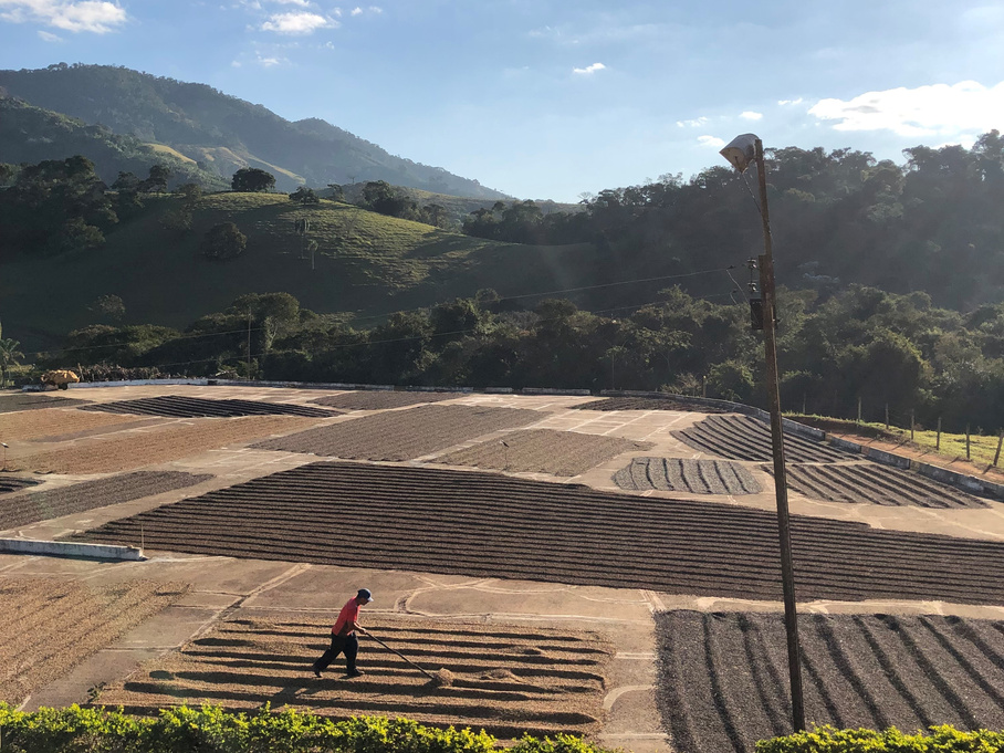 Amarelo Mantiqueira farm