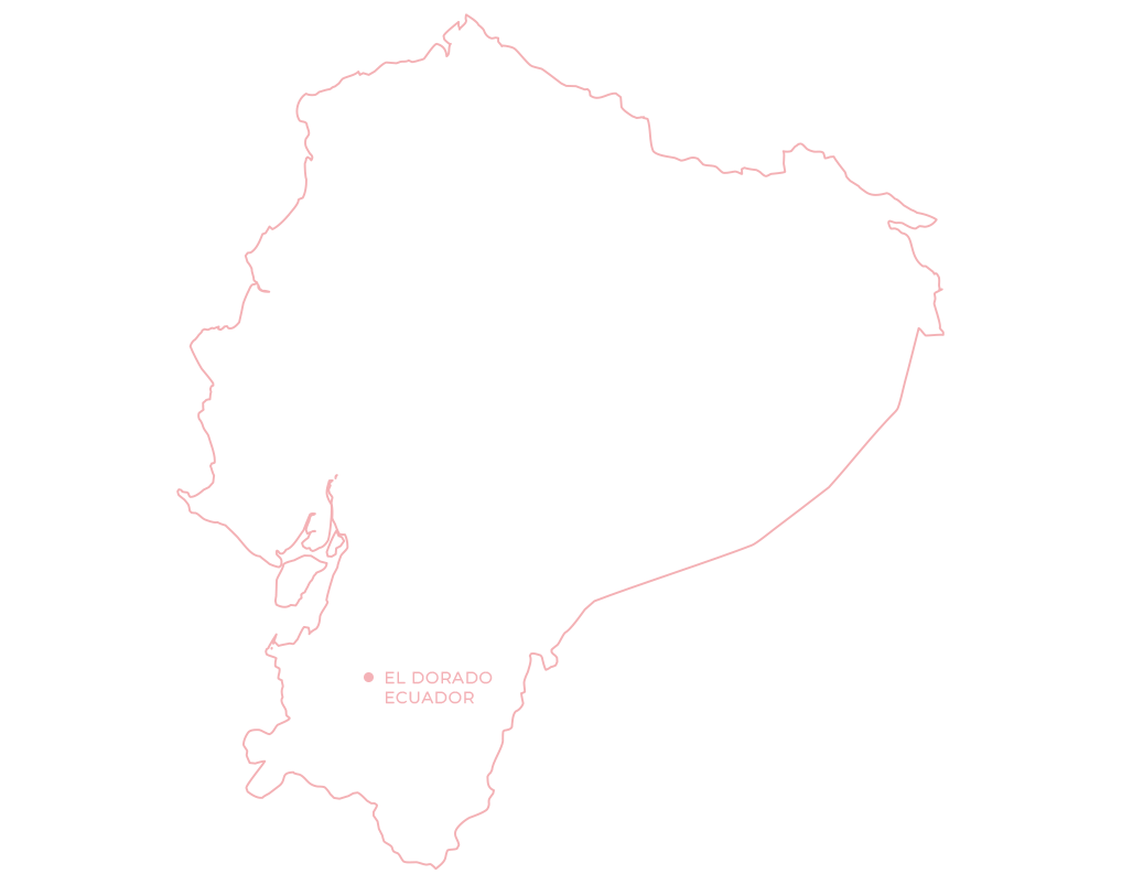 El Dorado Ecuador - New Coffee Release