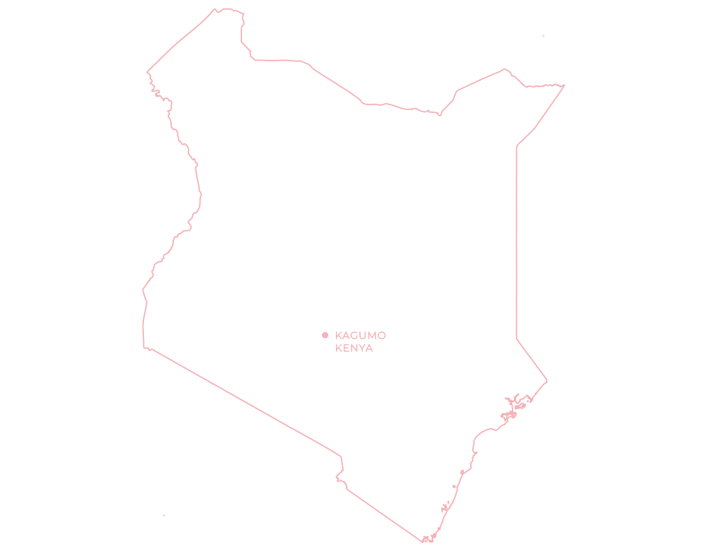 KAGUMO ,KIRINYAGA COUNTY - KENYA - BEANWORKS FORAGER SERIES COFFEE - NEW RELEASE