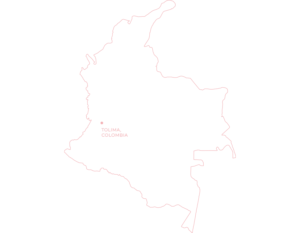 El Vergel watermelon co-ferment Colombian coffee